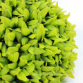 Wholesale lifelike hanging artificial topiary grass ball for sale